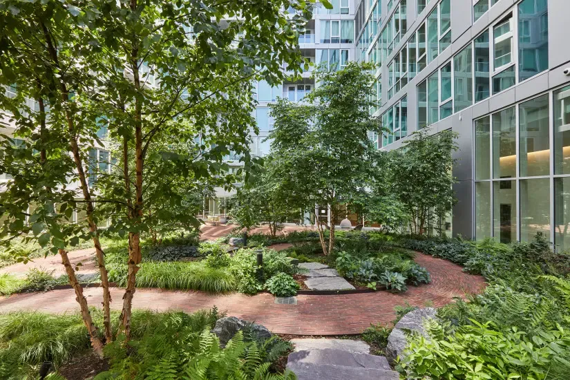 Secret gardens: The plants and insects that inhabit NYC's green roofs