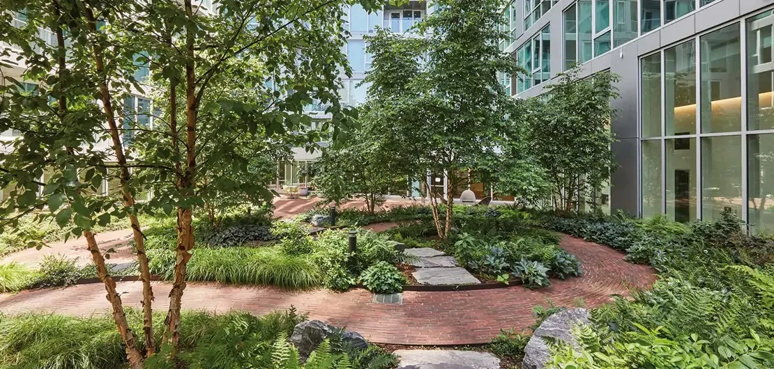 The Plants and Insects that Inhabit NYC’s Green Roofs